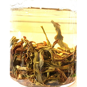 圖一 - 伸展過程