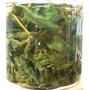 圖一 - 伸展過程