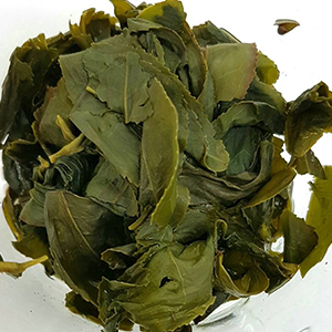 圖四 - 茶底
