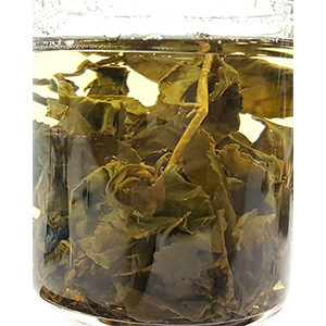 圖一 - 伸展過程
