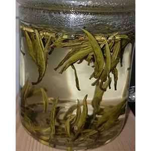 圖一 - 伸展過程