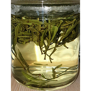 圖一 - 伸展過程