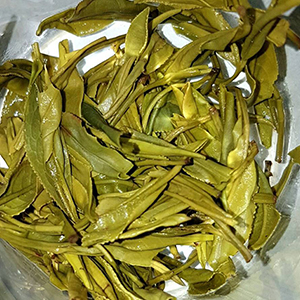 圖三 - 葉底