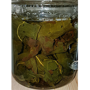 圖一 - 伸展過程