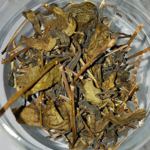 圖二 - 茶乾