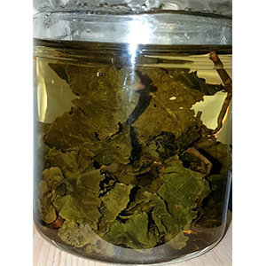 圖一 - 伸展過程