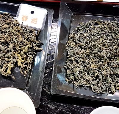 圖五 - 日本烏龍茶